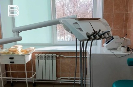 Мурманские врачи рассказали о правилах ухода за зубами и важности профилактики