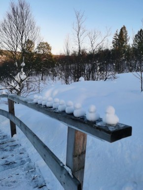 ���������� ������� ������ �� ���������