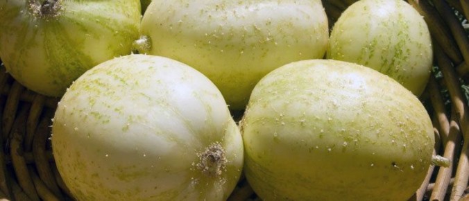 ���������� ������: ��������� ���� � ������ �� ����� �������