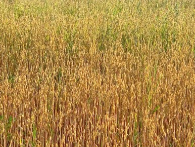 ���: ������� ���� � ������� ��������