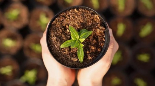 ��� ����� ��������� � ������ ��� ����� ��� ����� ��������