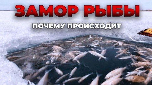 � ��� ������ ������ ������� ����: ������� � ���� �������