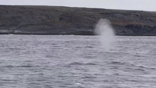 ������ ����, ���������!. ����������� ����� ����� ��������� ������ ������� ������� � �������� ����� �� ����� ��������� � ��� �����, �������� � 2024 ���� ������ � ����� ���������