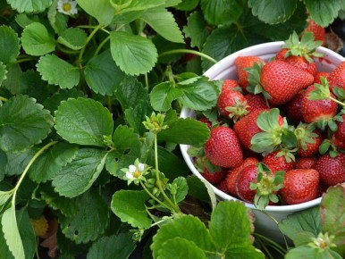 ����� ����� ��� ��������? ������� ������ �� ����������� � ������