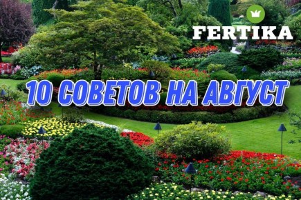 ��� ����� ������� � ���� � �������: 10 ������������ �������