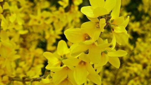 ������ ����� ������� �������� ��� ������ ����