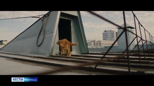 На большие экраны вышел полнометражный фильм "Доктор Гаф"