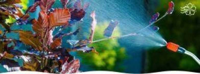 ����������� ������ ������� ��������� ���� ��� ������ �� ���������� � ��������