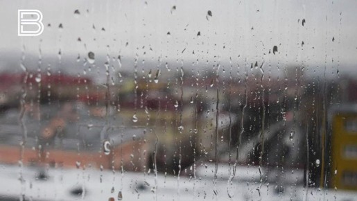 ������ �������� � ���������� ������� 21 ����� ����� � �����