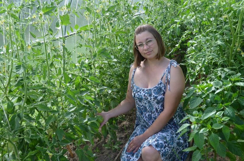 Как правильно прищипывать томаты для лучшего урожая