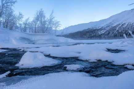 ����������� ������ �� ������� ����� ������ ��� �� �����