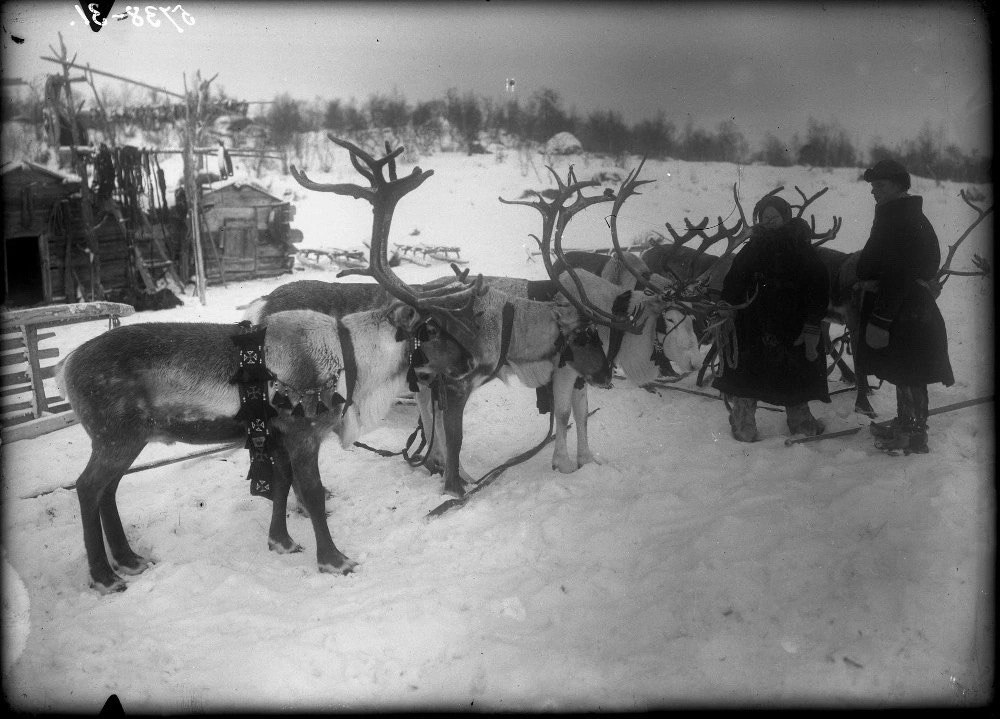 О коренных жителях Мурманской области – саамах О коренных жителях Мурманской области – саамах