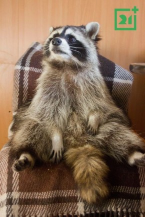 � ���������� ���������� ����� ����� ����� ����� � ���� �� ����� ����