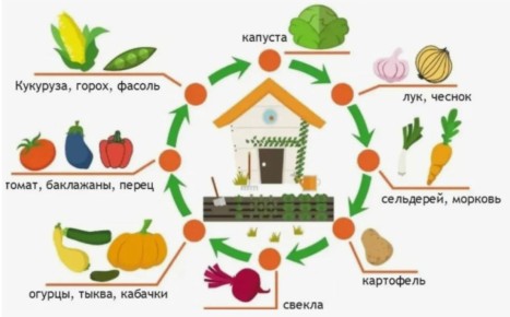 ��� ��������� ������������ ������ �� 2026 ���: ������� ������������ �����������