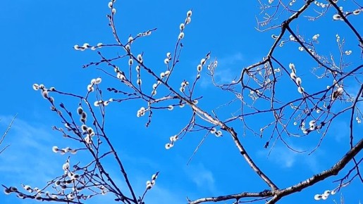 ������ ����, ���������!. ���� � ���������� ������� ���� ������������� �������