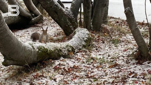 �� ������ ����������� ��������������, 26 ����� � �������� ��������� ��������� �������� ������, ��������� ������