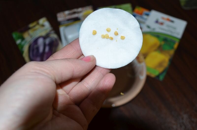 Ошибки, которых следует избегать при посадке семян перца на рассаду