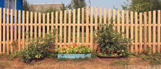 Какой забор выбрать для дачи: традиции и современность