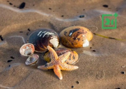 ���� �� ����� ����������� �����, ����� ����� ��������� � ����