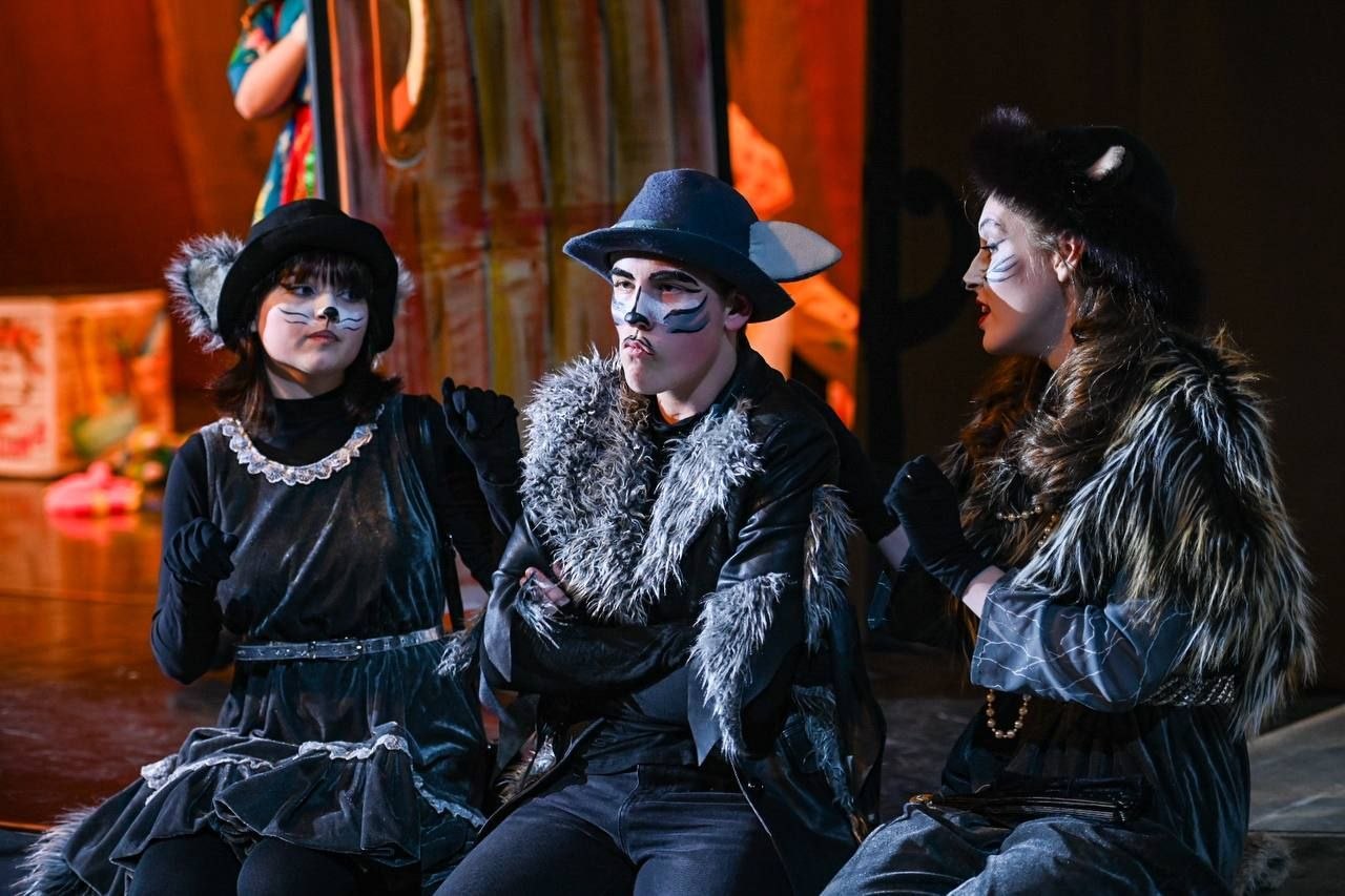 В Детской театральной школе города Мурманска состоялся показ музыкального спектакля «Волк и семеро козлят», приуроченный к Всемирному дню театра и акции «Ночь театрального искусства»