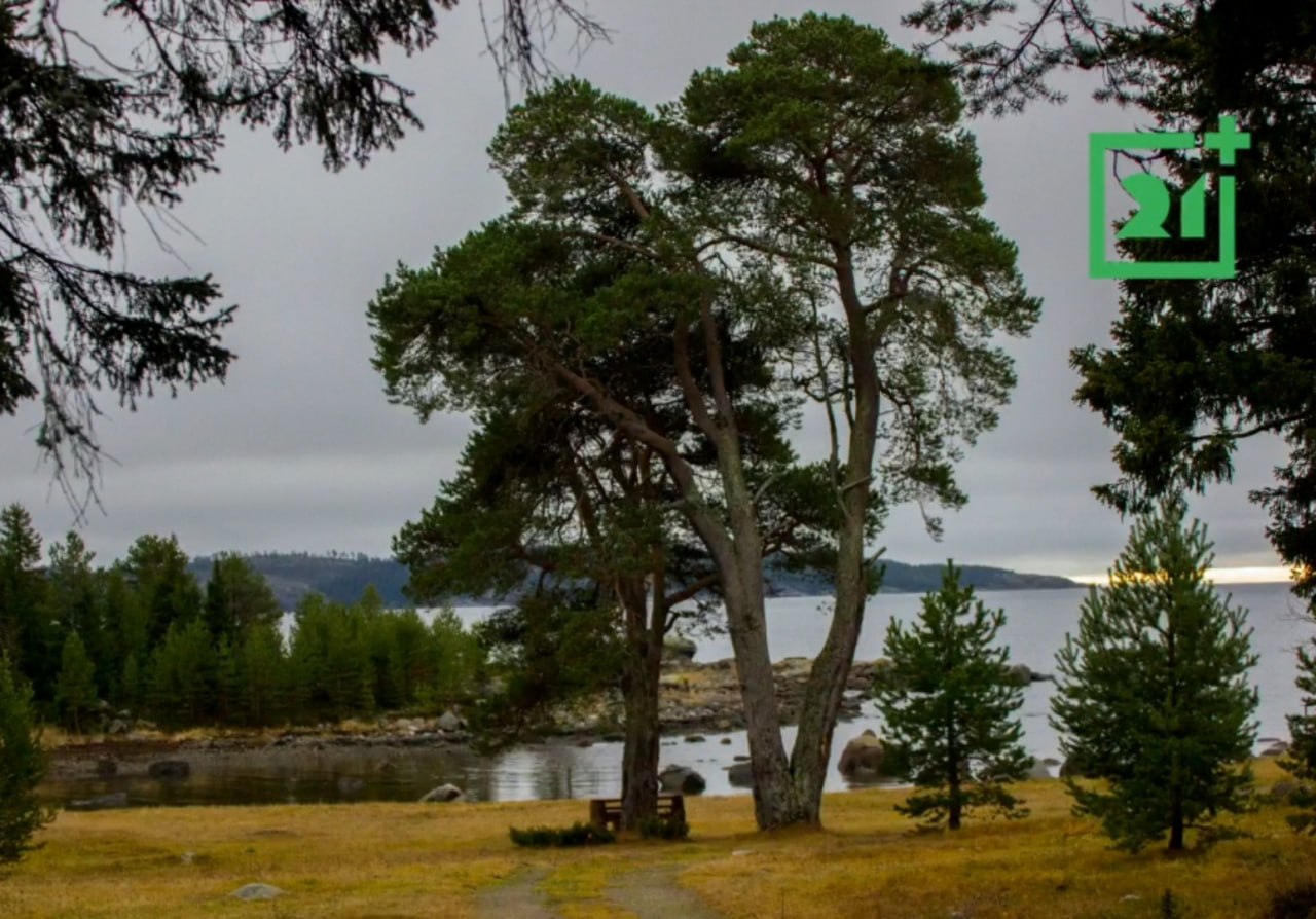 Пока на улице чувствуется весна, самое время помечтать о лете Пока на улице чувствуется весна, самое время помечтать о лете