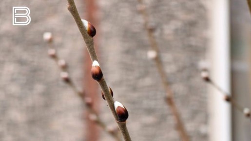 По данным мурманского гидрометцентра, 28 марта в Кольском Заполярье ожидается облачная с прояснениями погода, в отдельных районах туман