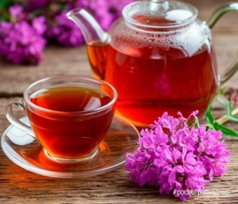 Иван-чай: вытяните из природы максимум полезного