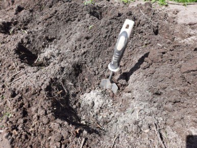 ������ �� ������� ������������ �������: ������� �������, ���������� � ������