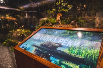 Отдых до 5 апреля! В школах Кольского Заполярья начались весенние каникулы