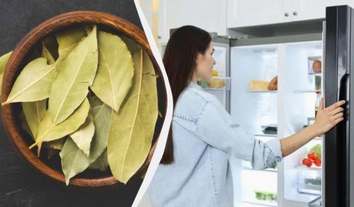 Лавровый лист: неожиданные тайны для вашей кухни