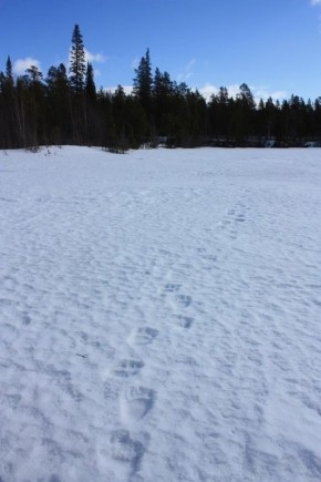 � ��������� ���������� �����