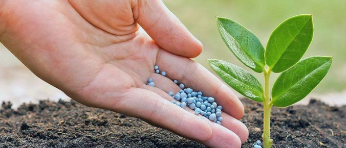 ������� ��������� ��������� �������: ������������ ������