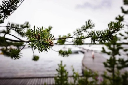 � ���������� ������� ������� ����� ������ �� ������� ����� ��� �������� ��������� �������