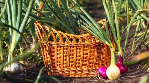 ��� ��������� ������������� � ������� ��� � ����� ����