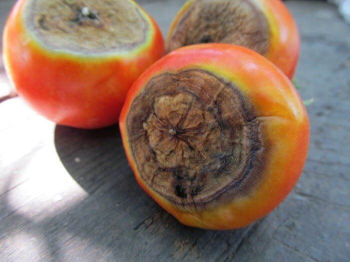 ��� ���������� � ��������� ������ �������: ������� ��������� �����