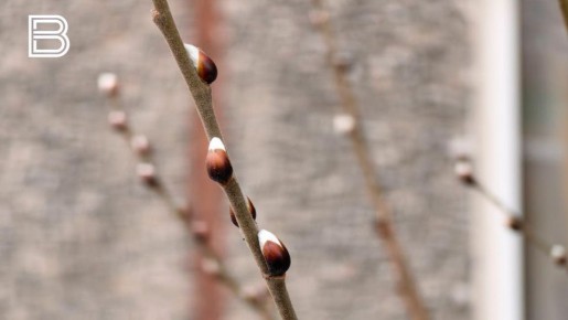 �� ������ ������������� ��������������, � ������� � �������� ��������� ������� ������ ����, ���� ��� �������