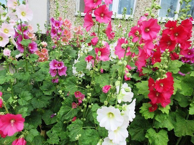 ���������� ������: ��������, ���� � ������� ��������� �����