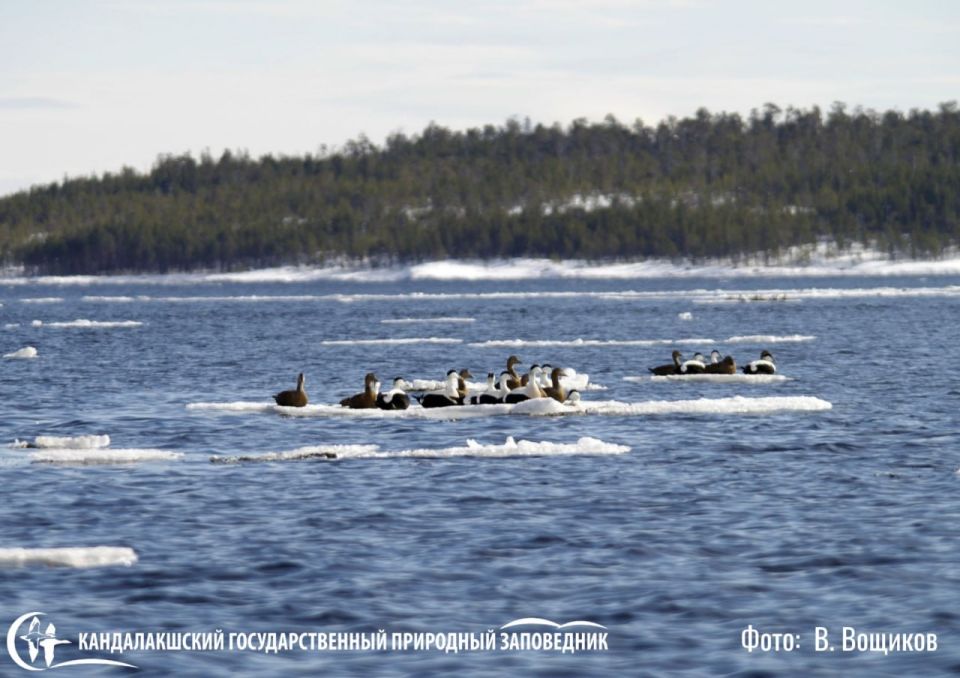 ���� ��������� � ������������� ����� ������ �����