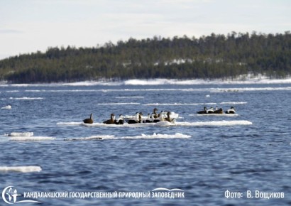 ���� ��������� � ������������� ����� ������ �����