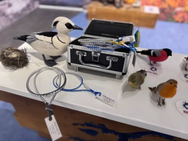 Орнитологи "Пасвика" начали полевой сезон наблюдений за птицами