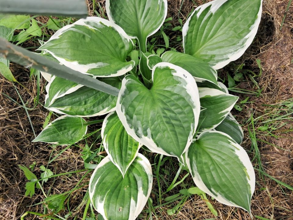 �������� ������� �������������: 7 ������, ������� �������� ���� � ����