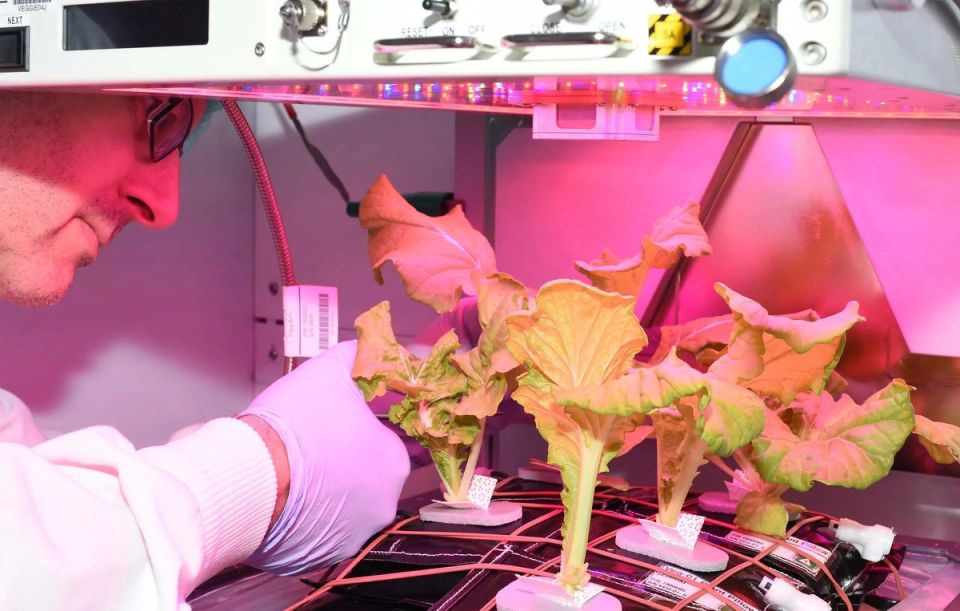 ����������� �����: ����� �� �������� �� ������ �������� �����������?