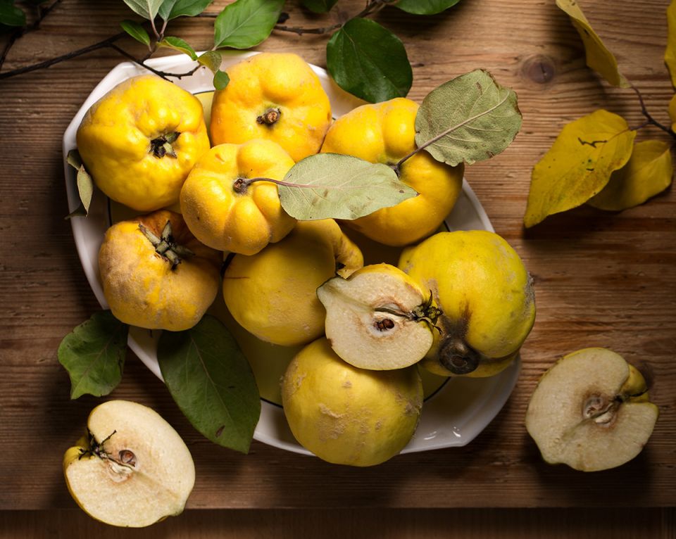 ����: ������� ������� ��������� � �������� ��������