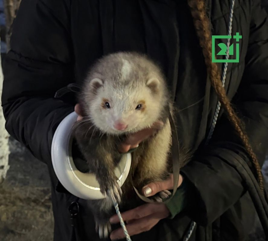 ������ ��������� ����� �������� ���������� ���������