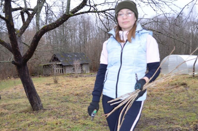 ������ ���������� ���������: ������� ��������� �����������