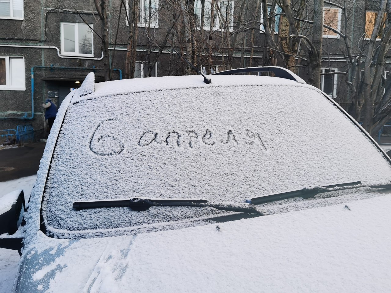 Доброе утро, Заполярье!. В Мурманск снова заглянула зима – утром северяне увидели за окнами свежий снег, который укрыл улицы