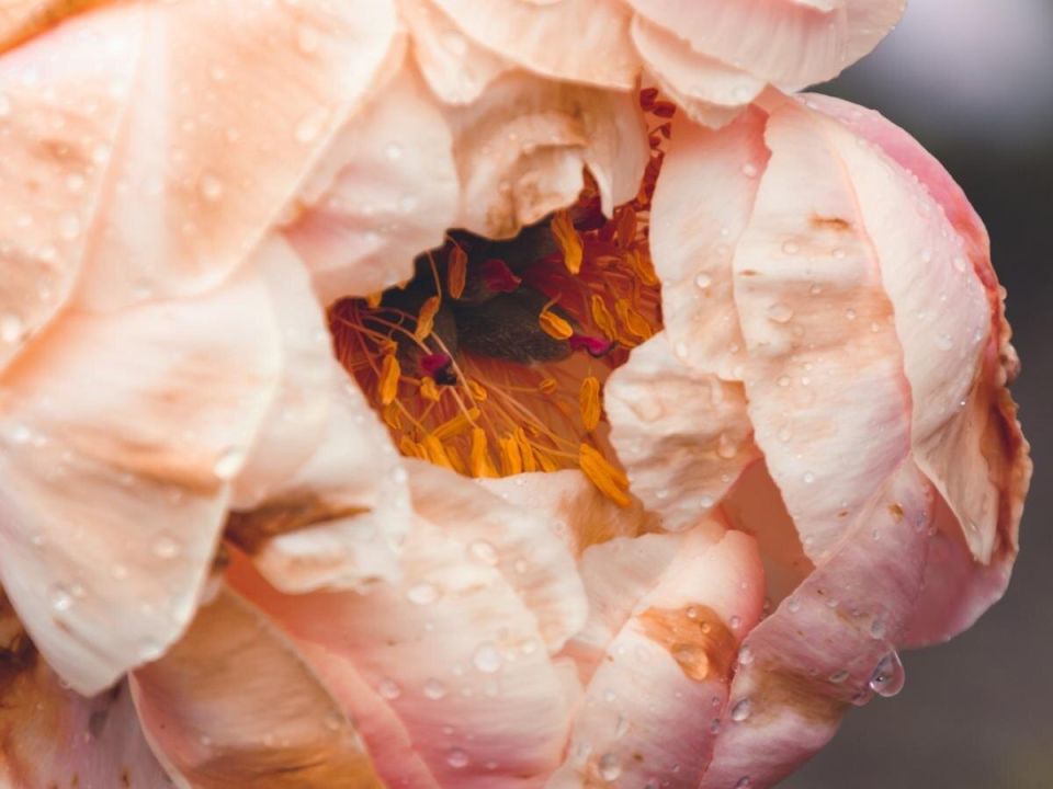 ������� � ���: ��� ��������� �������� ������� ������