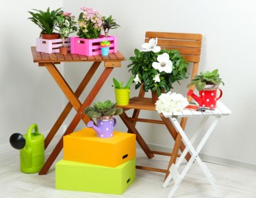 Натуральные удобрения для домашних цветов: 11 простых рецептов