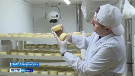 Как парное молоко превращается в сыр с полок магазинов? Проведем экскурсию по предприятию "Тулома"