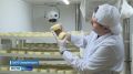 Как парное молоко превращается в сыр с полок магазинов? Проведем экскурсию по предприятию "Тулома"